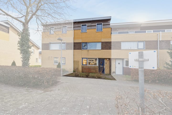 Foto 11 van Koolzaadveld 9