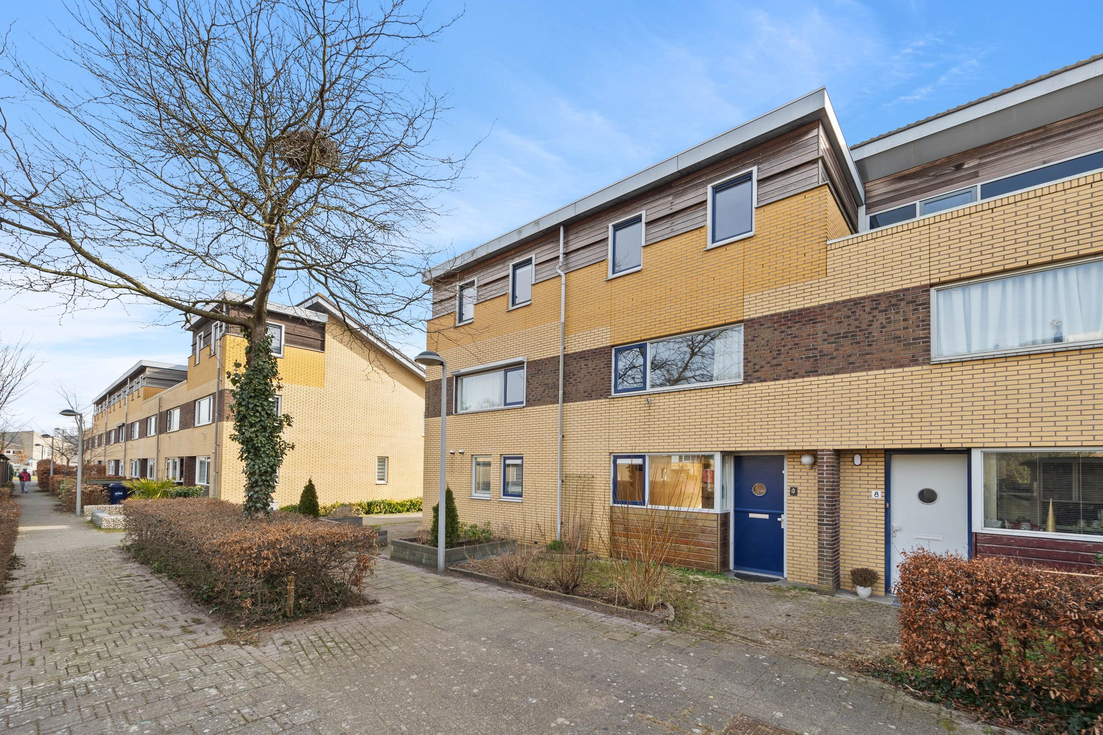 Foto 12 van Koolzaadveld 9