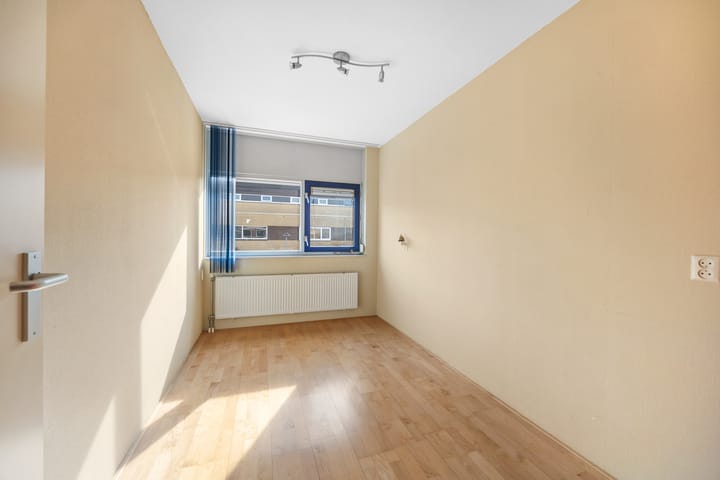 Foto 25 van Koolzaadveld 9