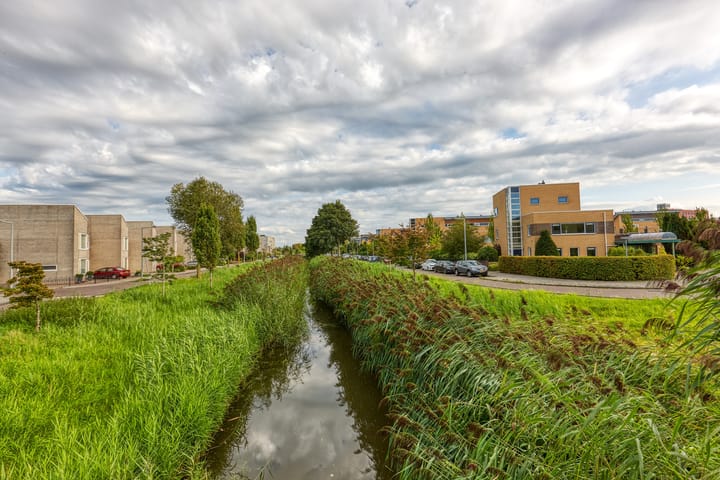 Foto 40 van Koolzaadveld 9