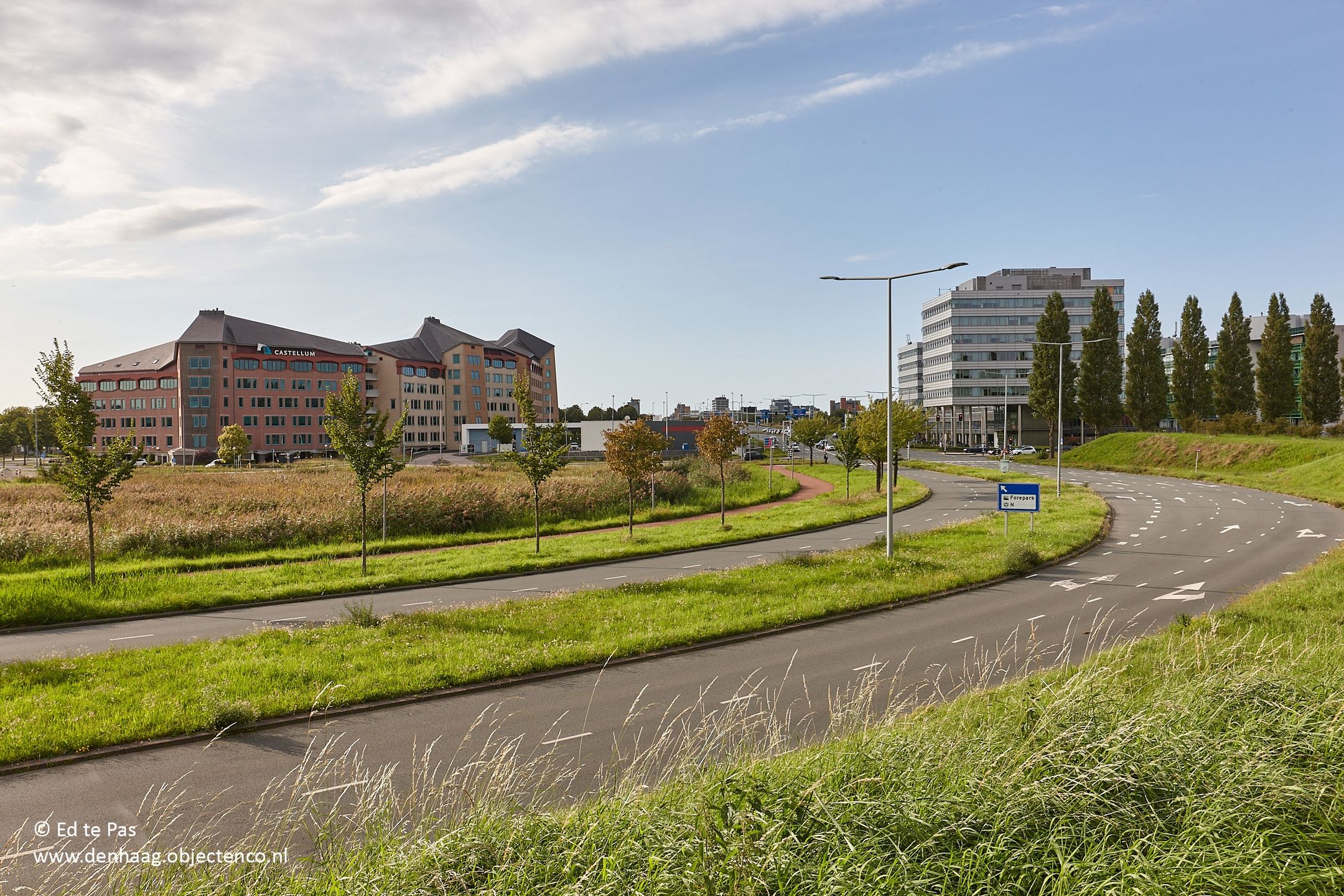 Foto 42 van Koolzaadveld 9