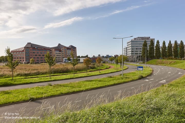 Foto 42 van Koolzaadveld 9