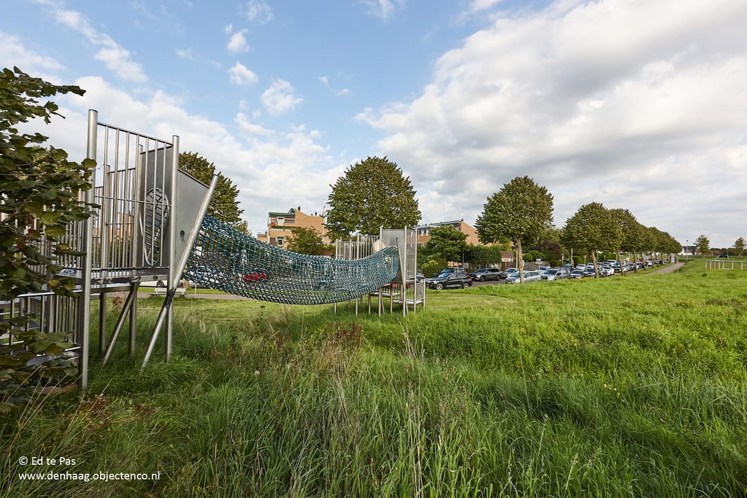 Foto 43 van Koolzaadveld 9