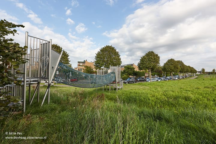 Foto 43 van Koolzaadveld 9