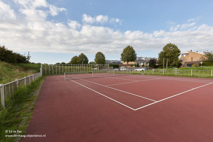 Foto 44 van Koolzaadveld 9