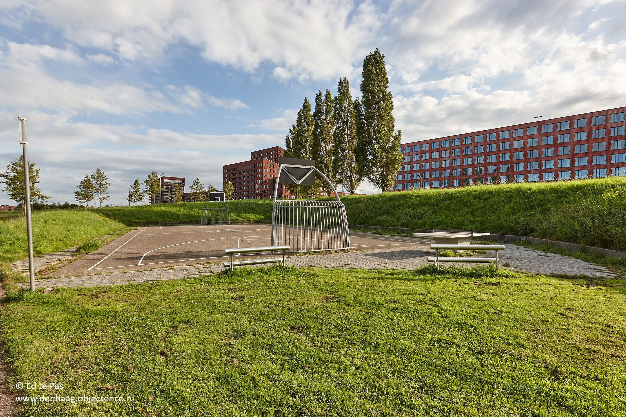 Foto 45 van Koolzaadveld 9