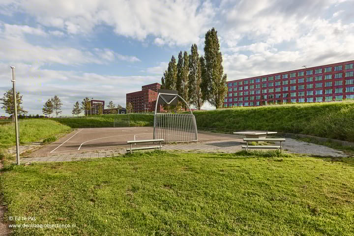 Foto 45 van Koolzaadveld 9