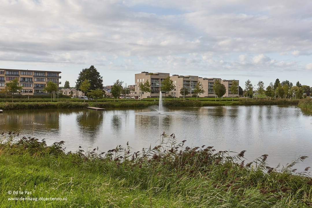 Foto 46 van Koolzaadveld 9