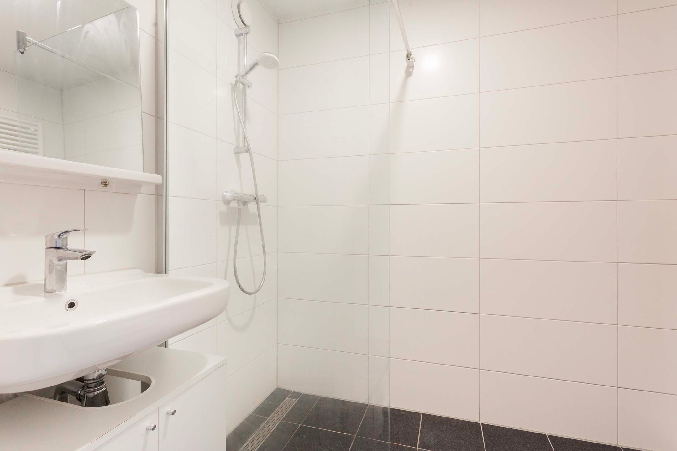 Foto 18 van Vrijhoef 10