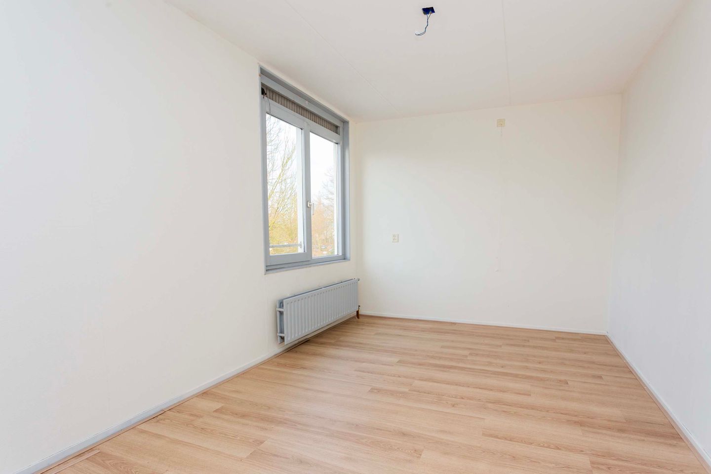 Foto 14 van Vrijhoef 10