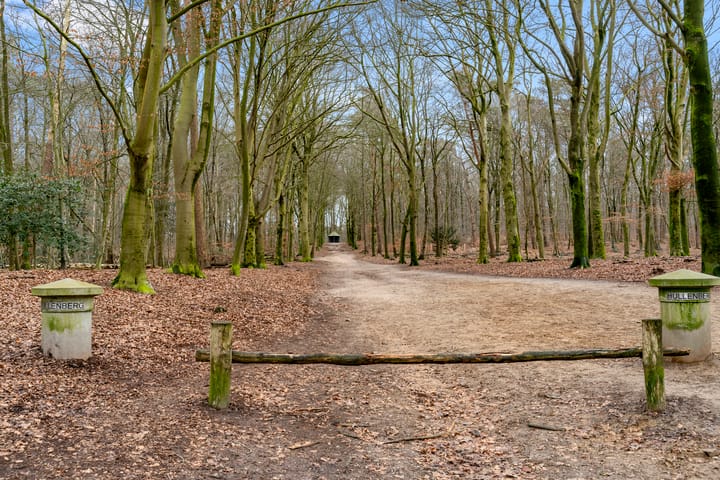 Foto 3 van Selterskampweg 11