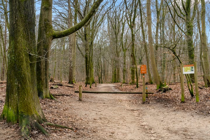 Foto 34 van Selterskampweg 11