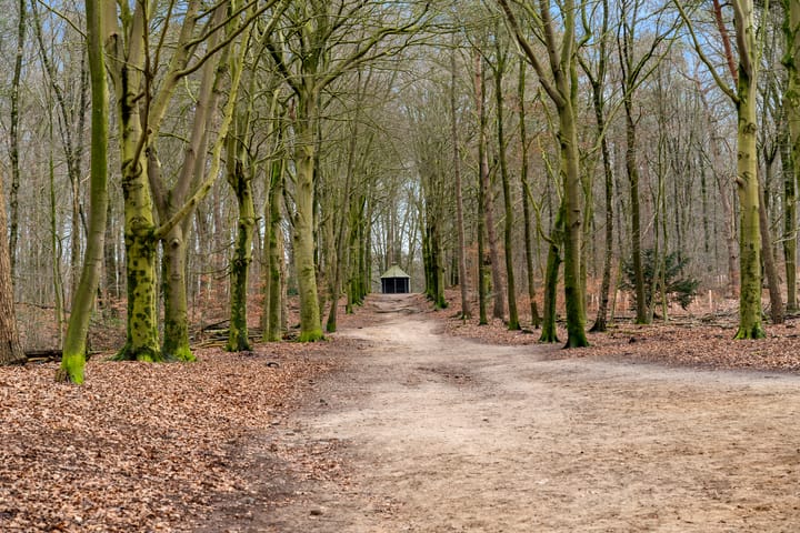 Foto 35 van Selterskampweg 11