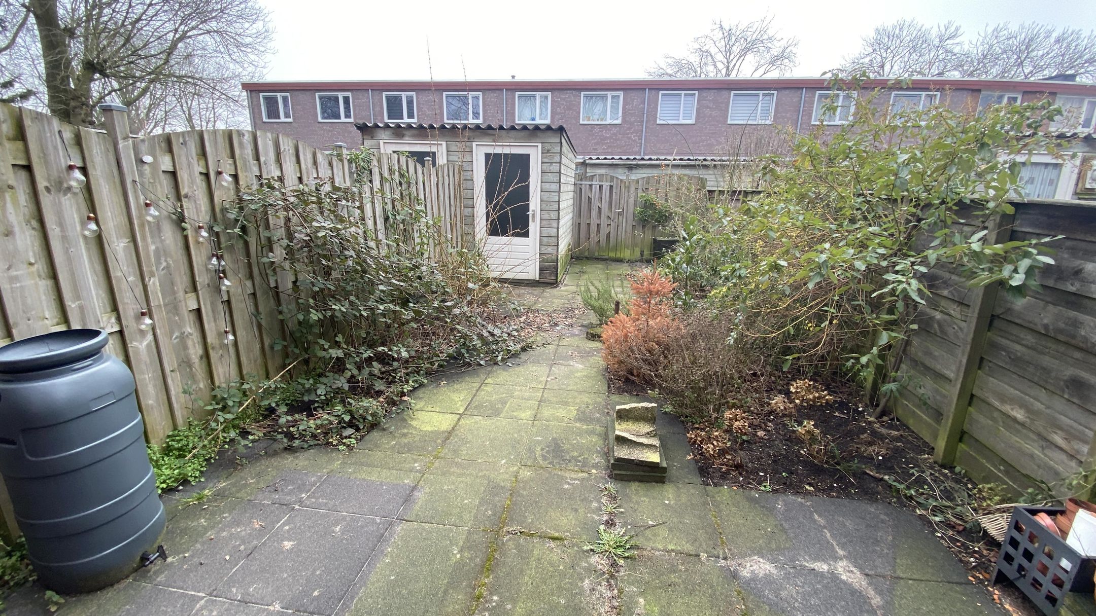 Photo 12 of Burgemeester Molenaarstraat 118