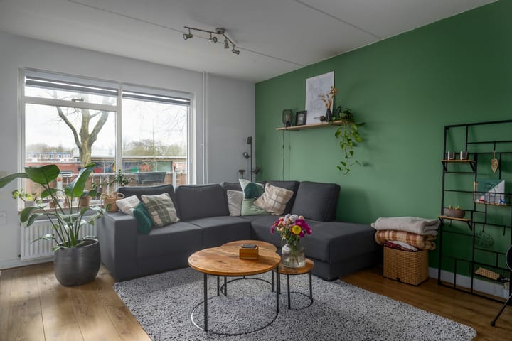 Foto 4 van Mudaheerd 42