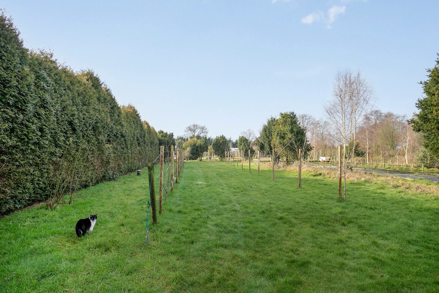 Foto 94 van Emmastraat 7