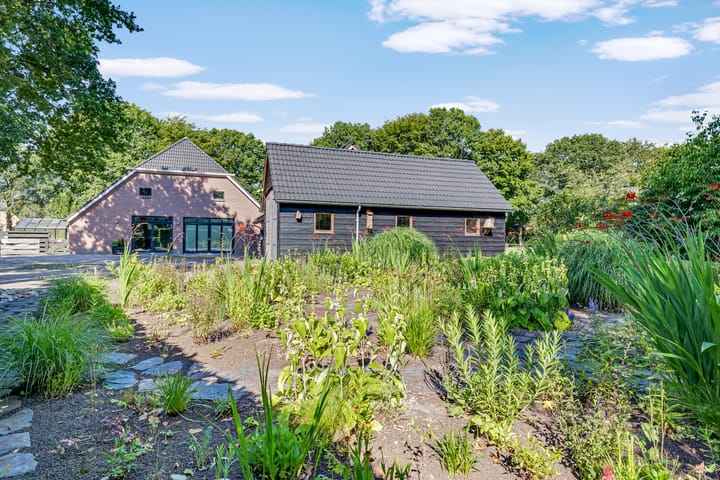 Foto 4 van Rolderstraat 2