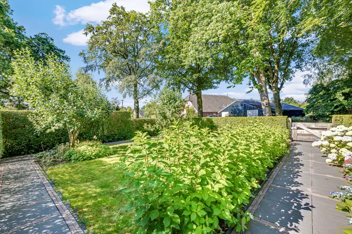 Foto 8 van Rolderstraat 2