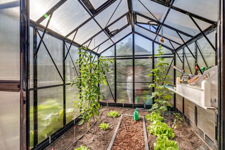 Foto 48 van Rolderstraat 2