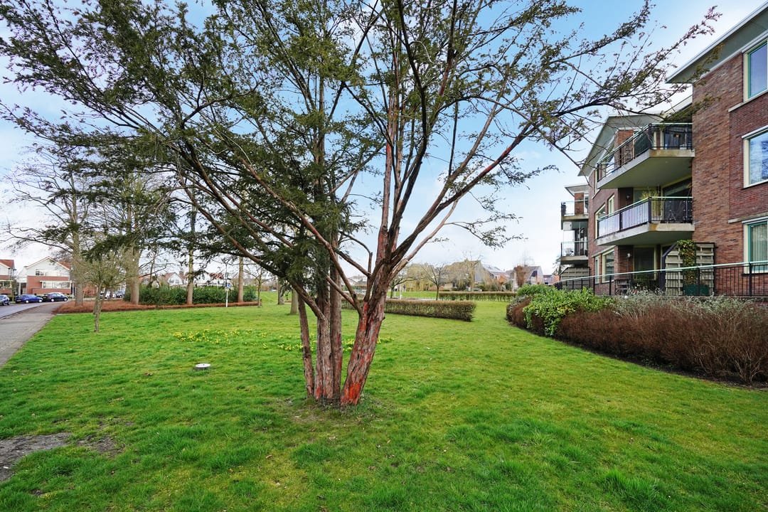 Foto 37 van Meidoornlaan 72