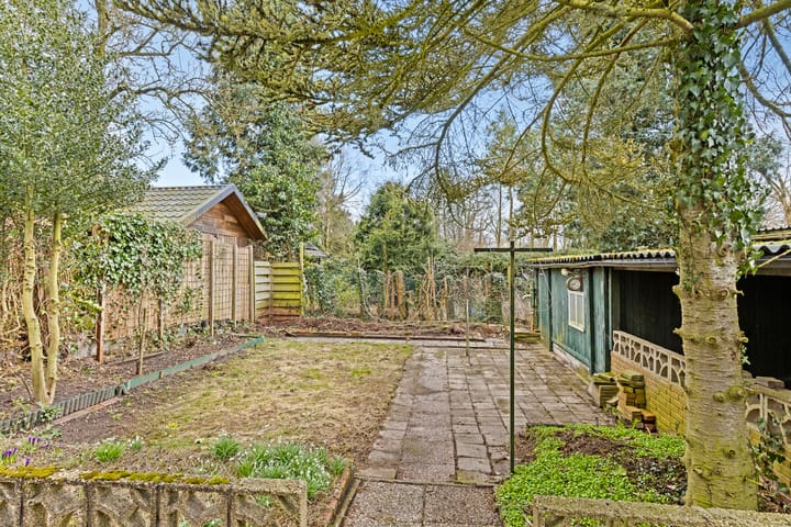 Foto 6 van Damstraat 20