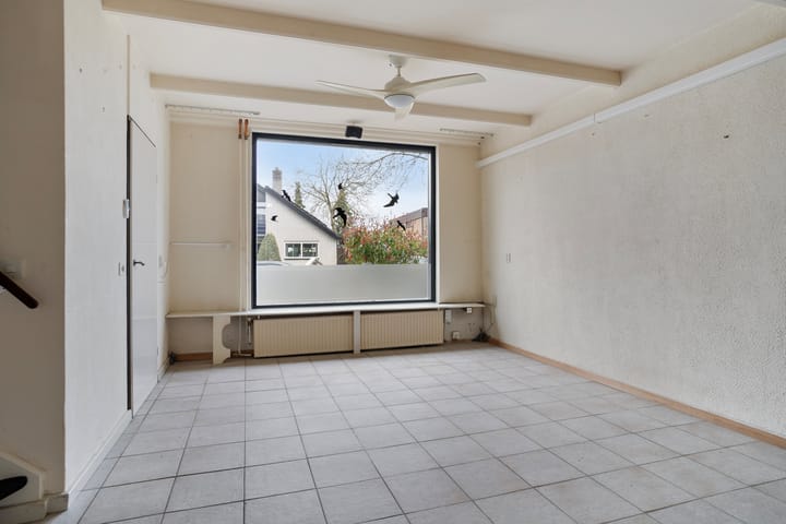 Photo 6 of Omloop 63