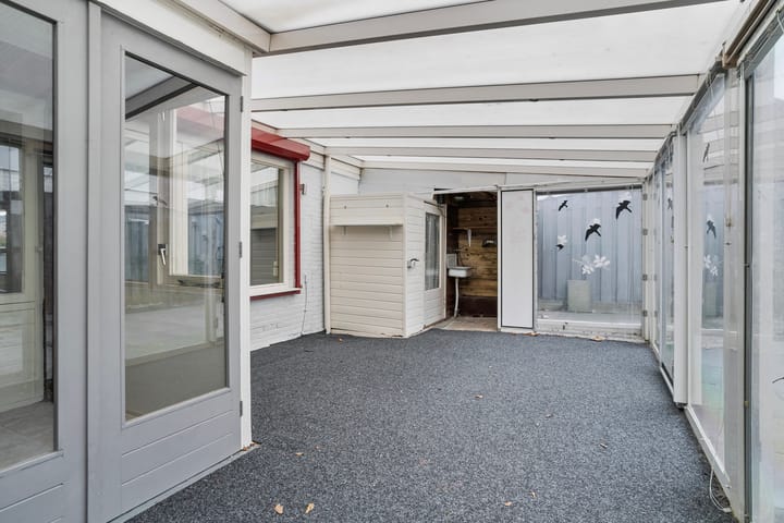 Photo 20 of Omloop 63