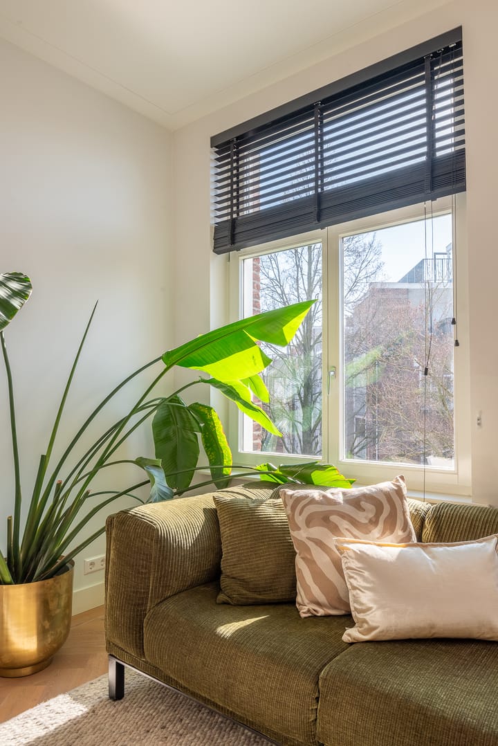 Foto 6 van Moreelsestraat 9-3