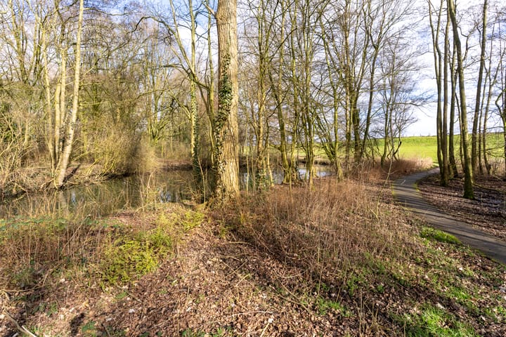 Foto 55 van Prinsessenweg 70