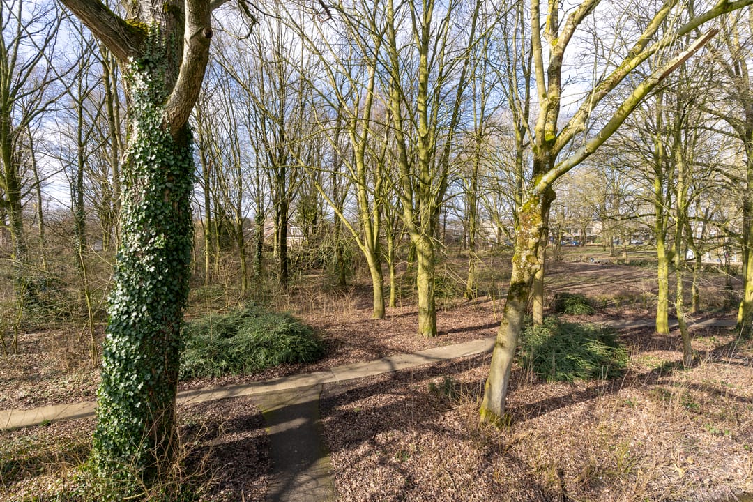 Foto 56 van Prinsessenweg 70