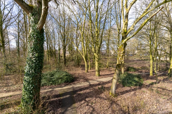 Foto 56 van Prinsessenweg 70