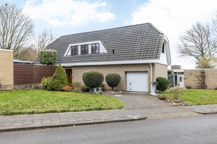 Koningsgraven 4