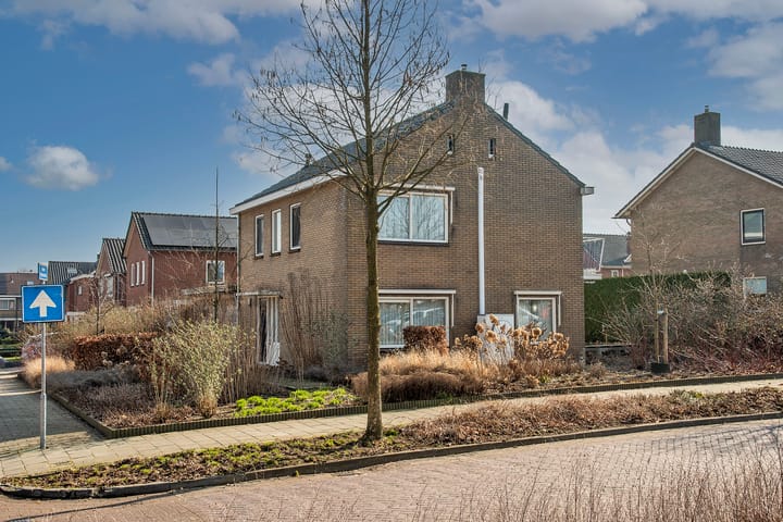 Gerard Terborchstraat 11