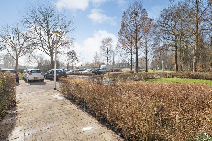 Foto 34 van Jan Buschstraat 25