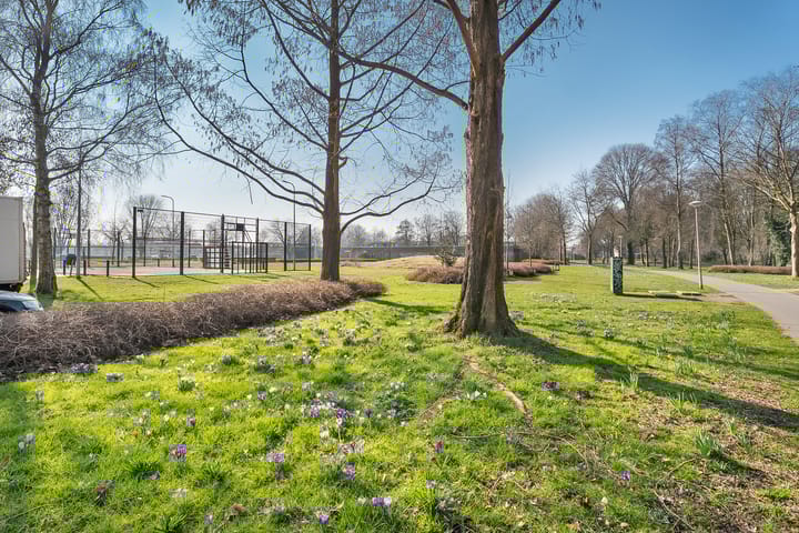 Foto 35 van Jan Buschstraat 25