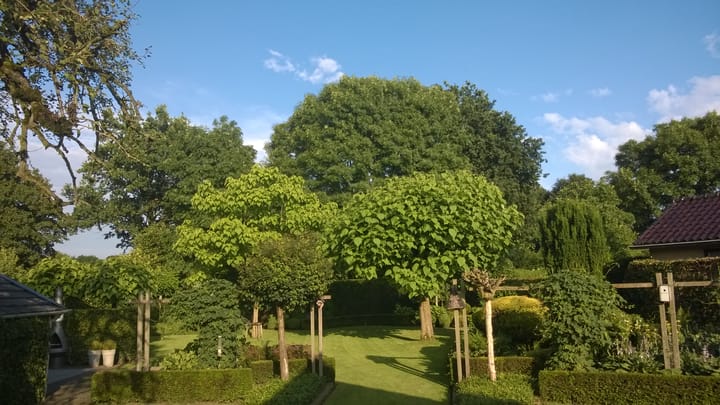 Foto 36 van Burg Thijssenstraat 31