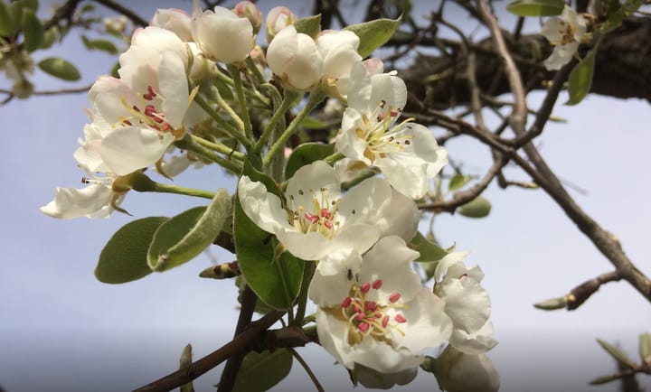 Foto 39 van Burg Thijssenstraat 31