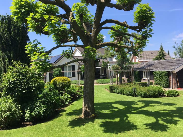 Foto 40 van Burg Thijssenstraat 31