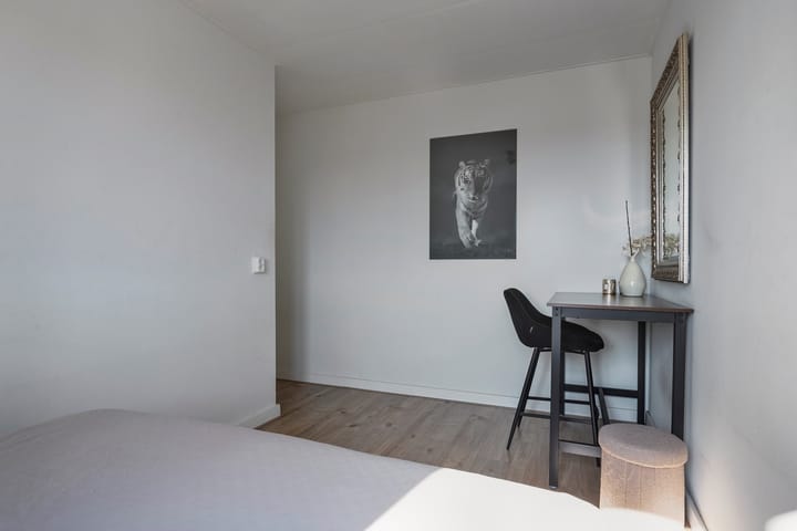 Foto 17 van Maassingel 354