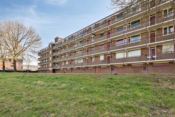 Foto 24 van Maassingel 354