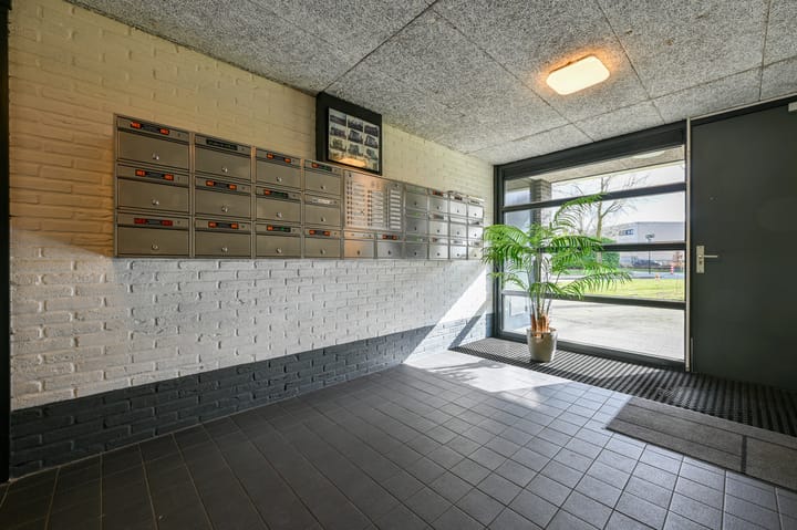 Foto 5 van Lage Boog 17