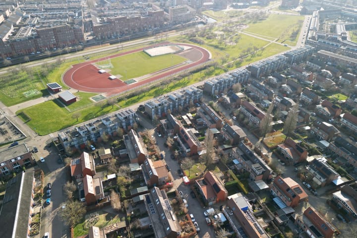 Foto 41 van Pijlstaartvlinder 11