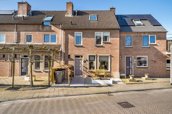 undefined main image