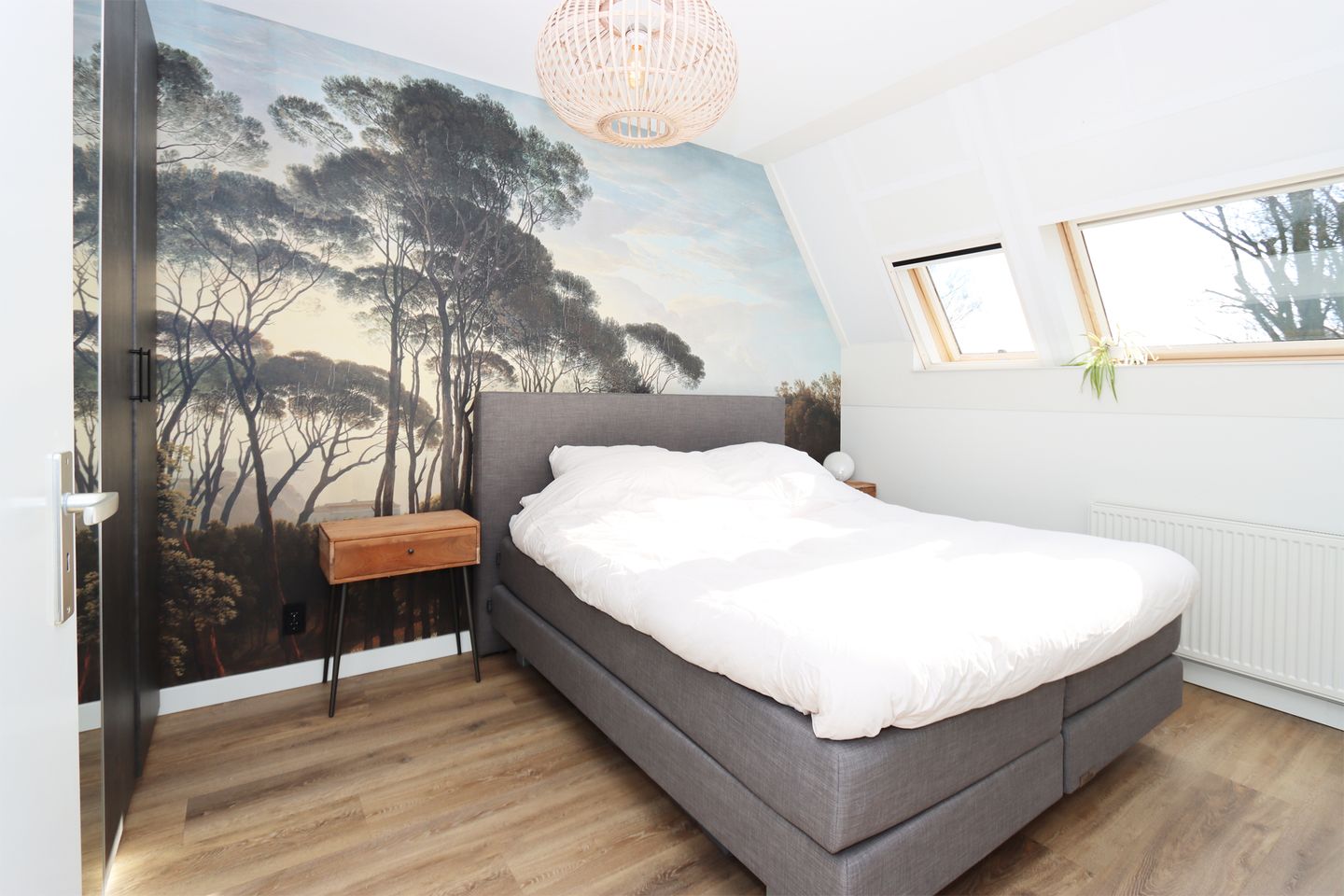 Foto 20 van Bezembinder 50