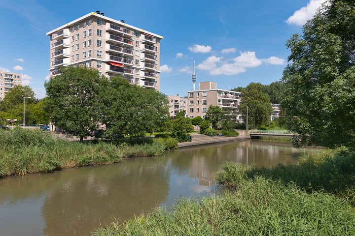Geervliet 303