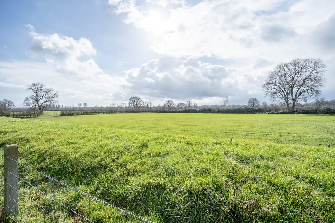 Foto 2 van Sint Odradastraat 31