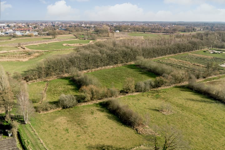 Foto 52 van Narcislaan 20