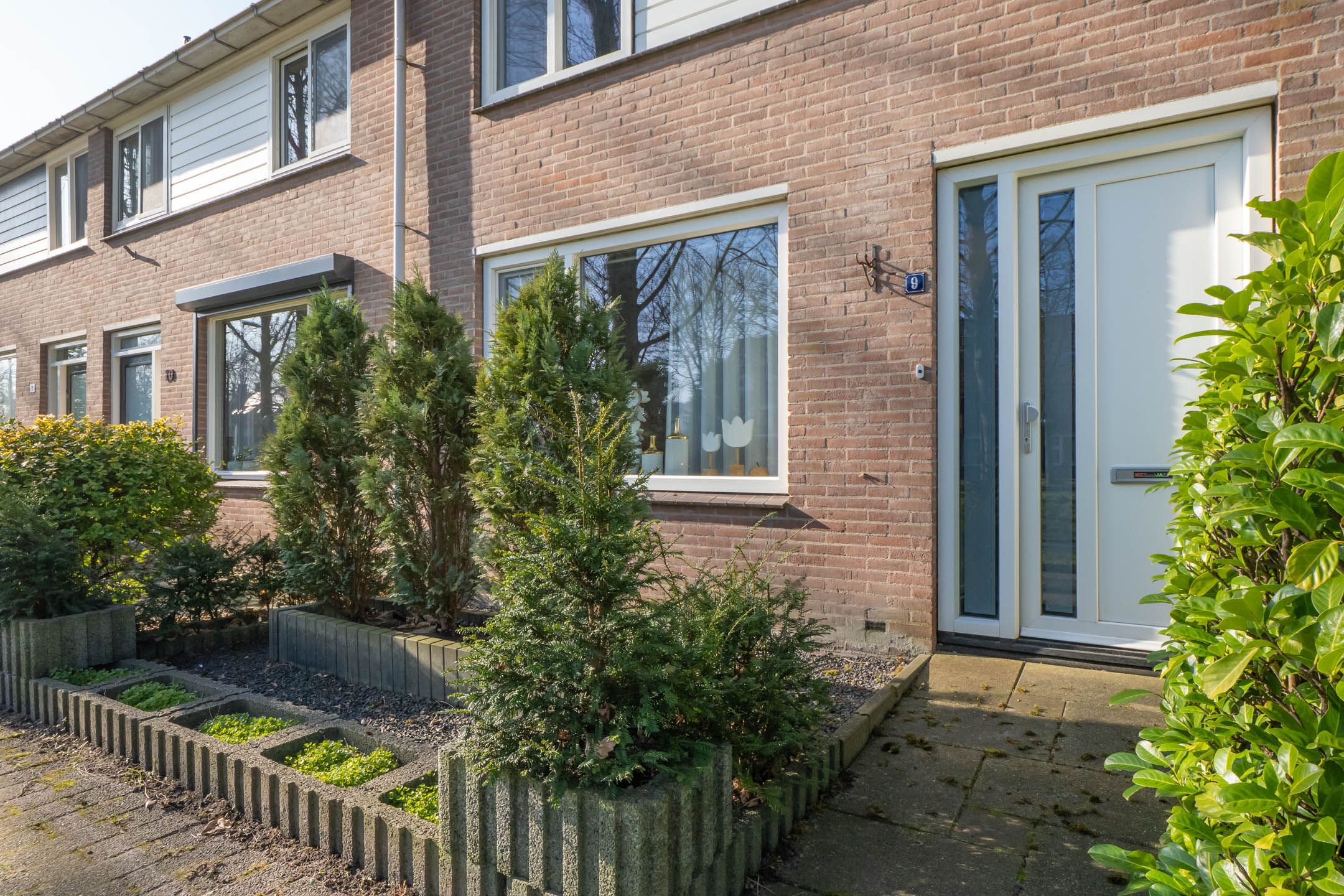 Foto 33 van Nachtegaal 9