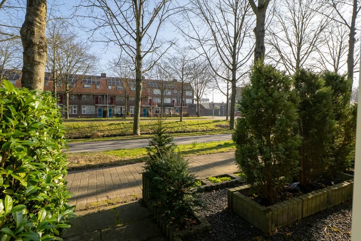 Foto 34 van Nachtegaal 9