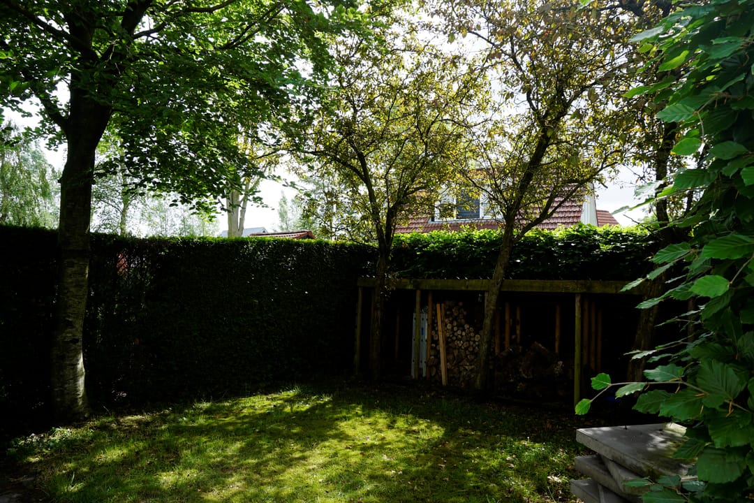 Photo 7 of Langwarderdyk 16-0037